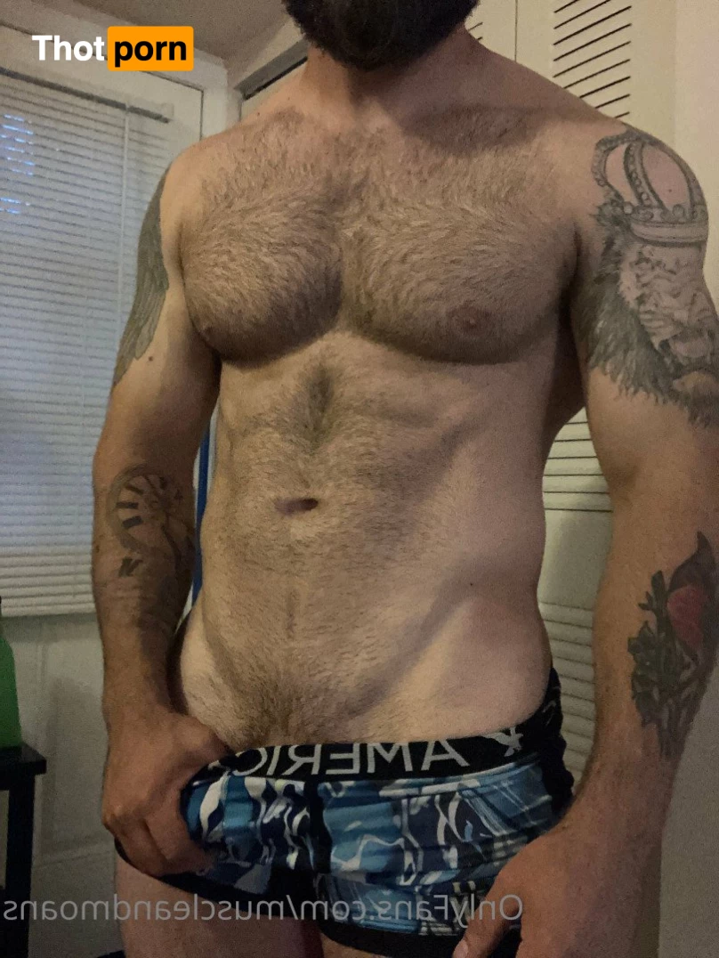 PowerliftingPlow 2873349