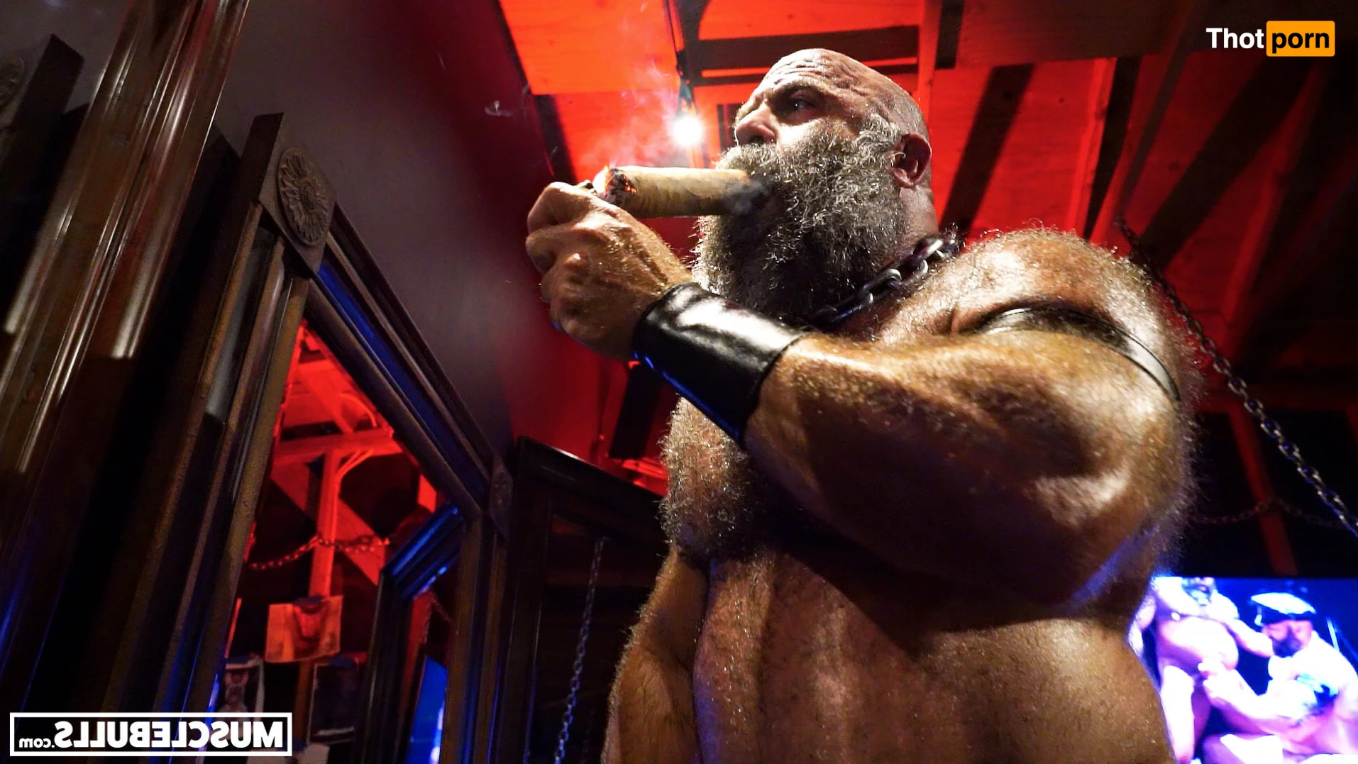 Muscle Bulls 14012689