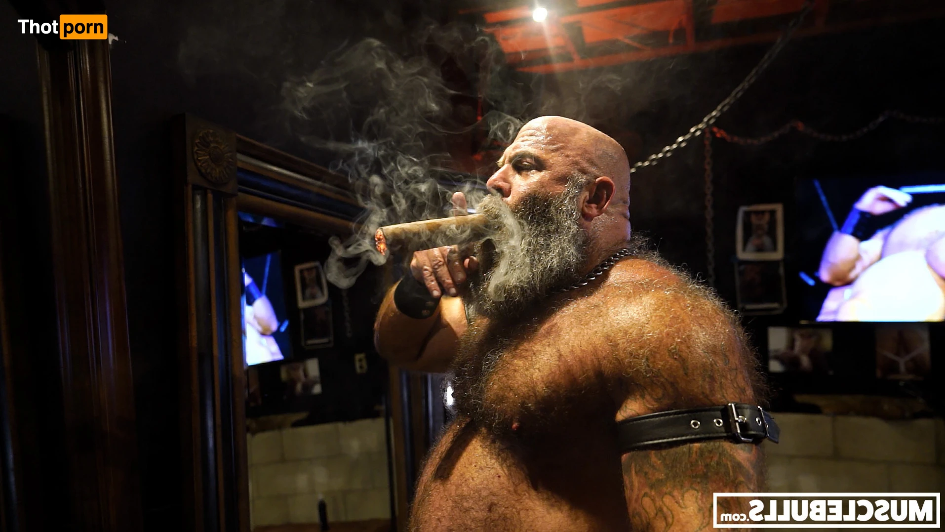 Muscle Bulls 14013501