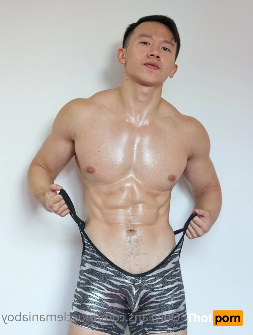 Chest Fantasy 3035012