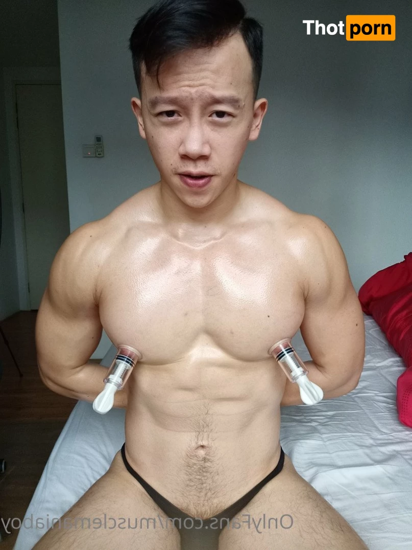 Chest Fantasy 3035058