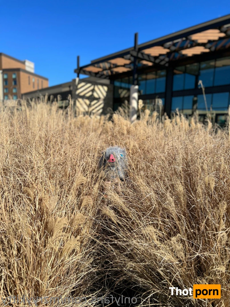 ♡ Msty but free ♡ 13880057