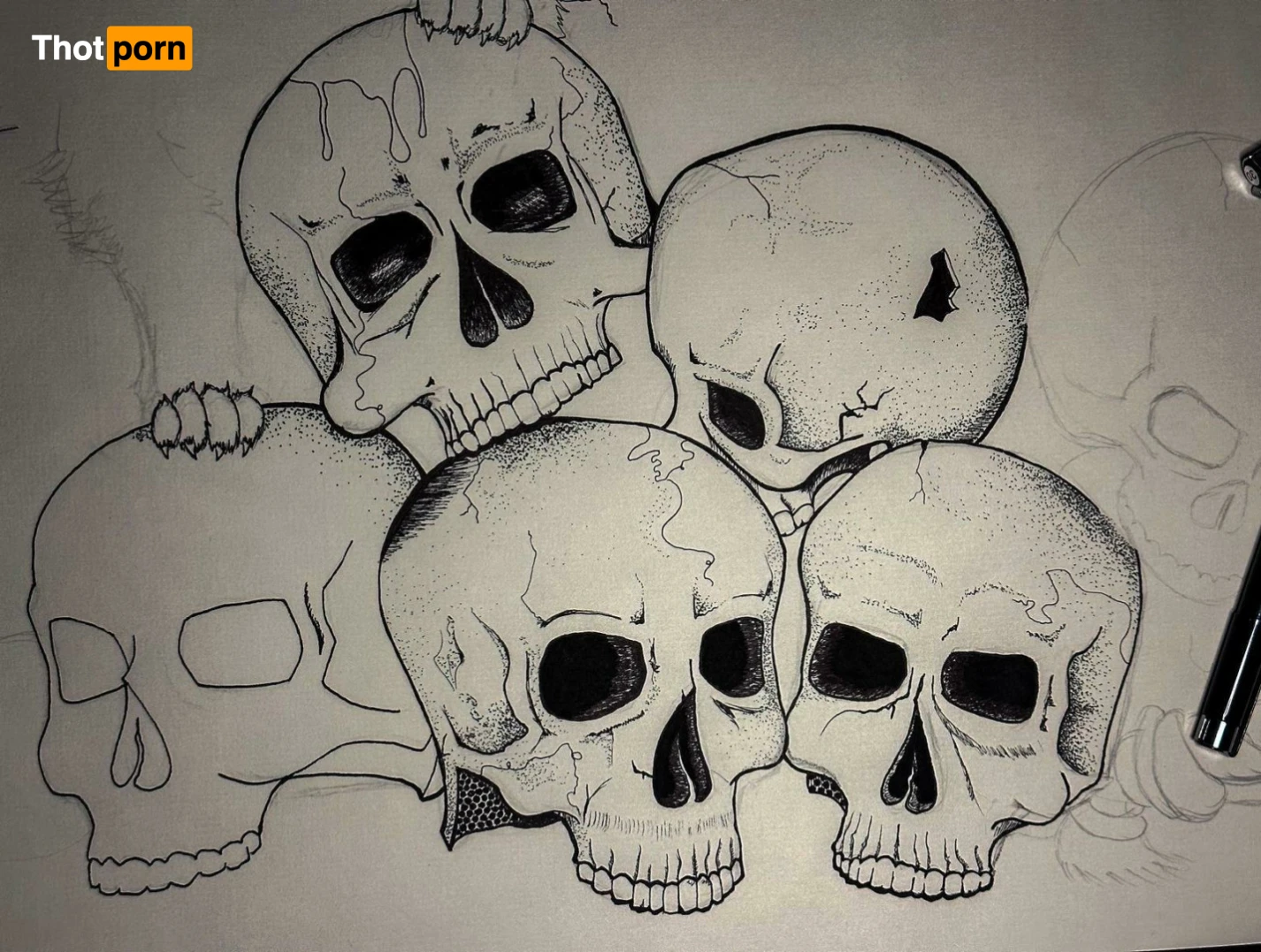 Molly Stewart 13874929