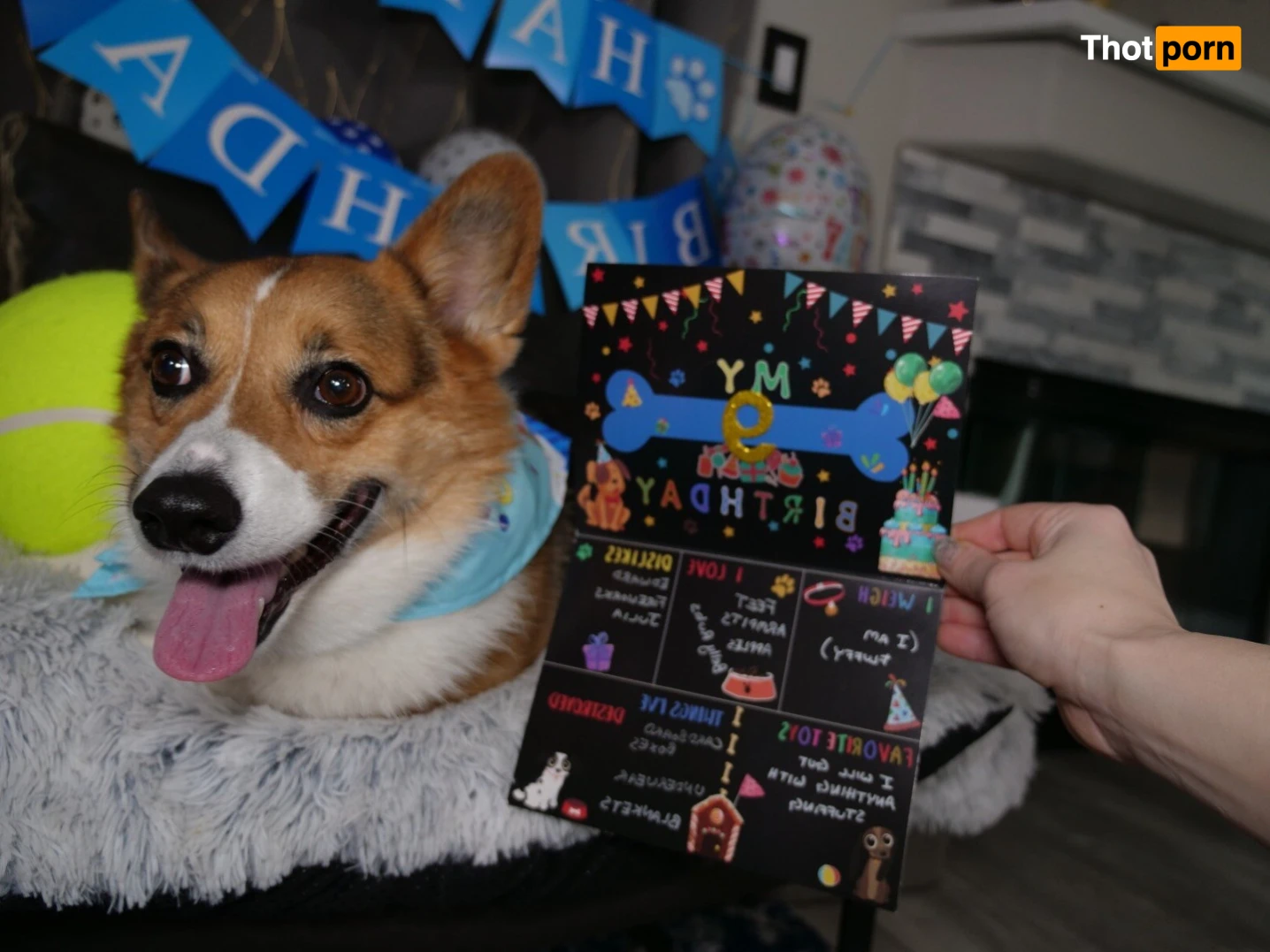 Molly Stewart 13875488