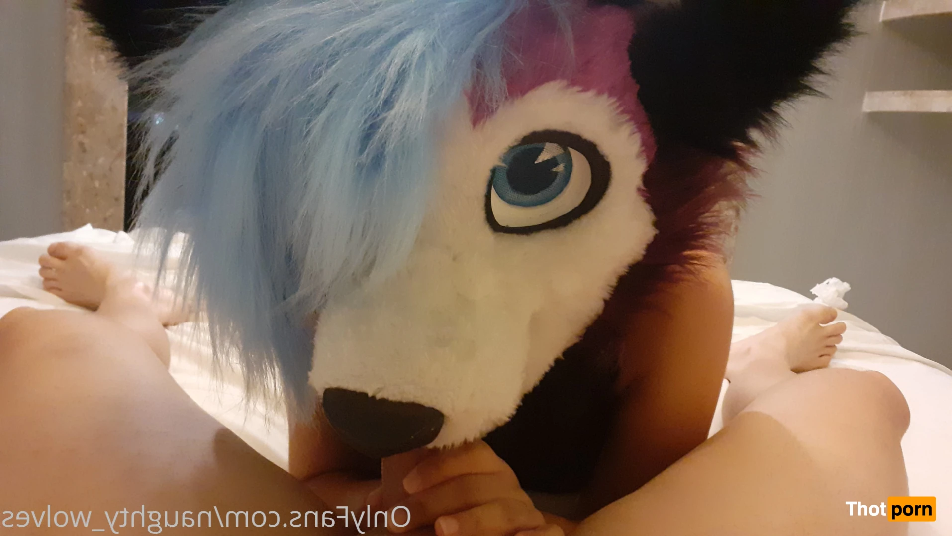 Naughty Wolves 13821995