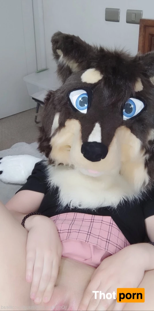 Naughty collie 6175448