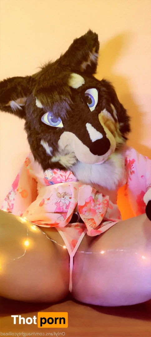 Naughty collie 6175481