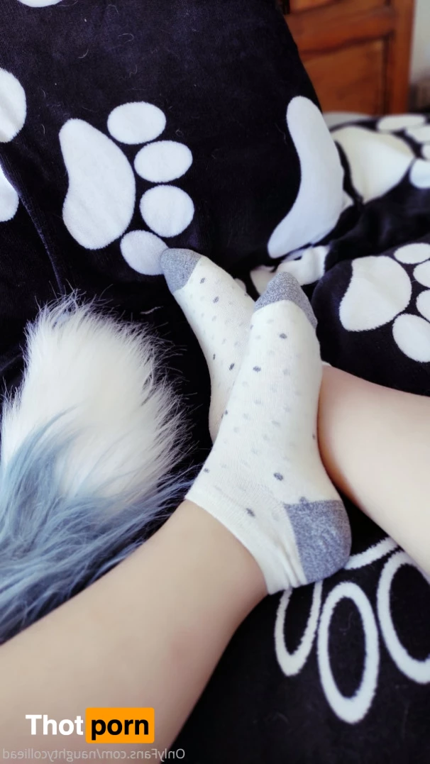 Naughty collie 6175544