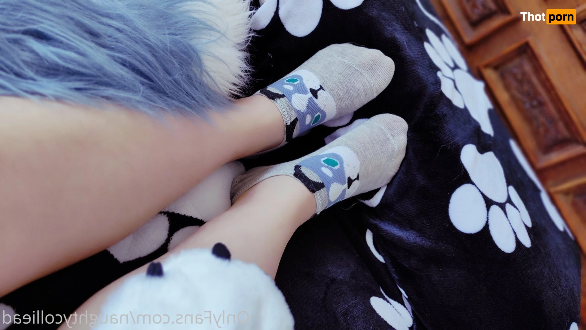 Naughty collie 6175767