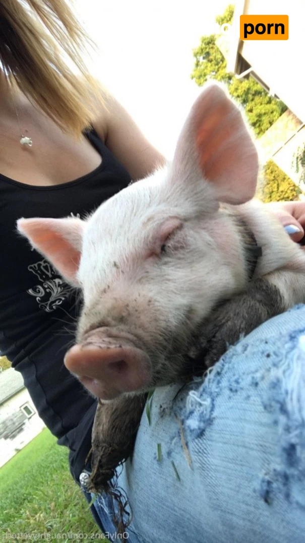 naughtyvettech 2924313