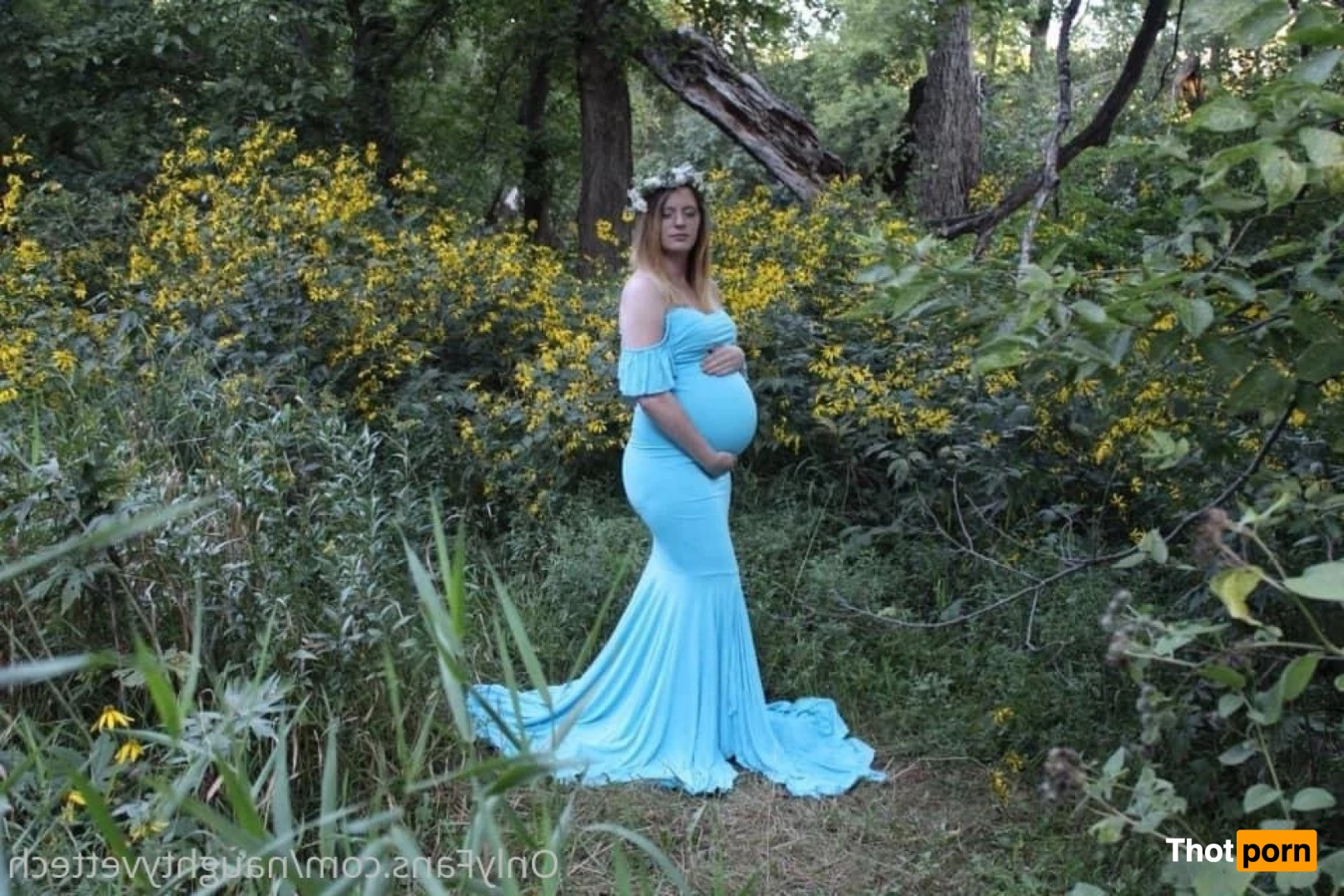 naughtyvettech 2924612