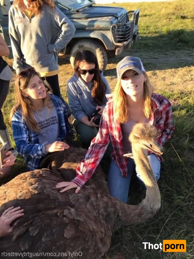 naughtyvettech 2924716