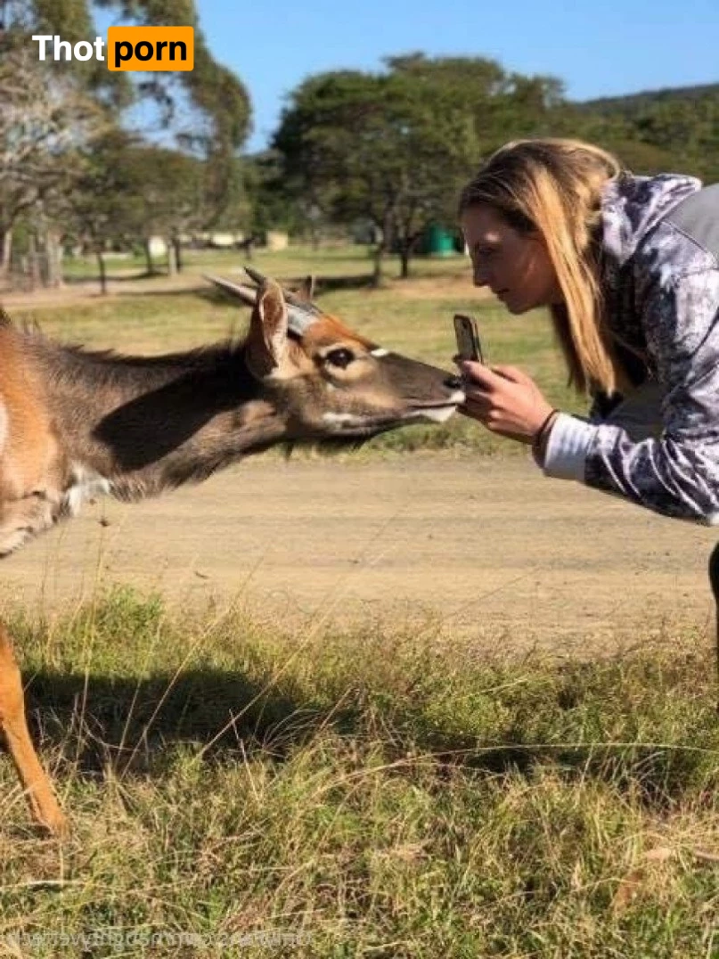 naughtyvettech 2924734