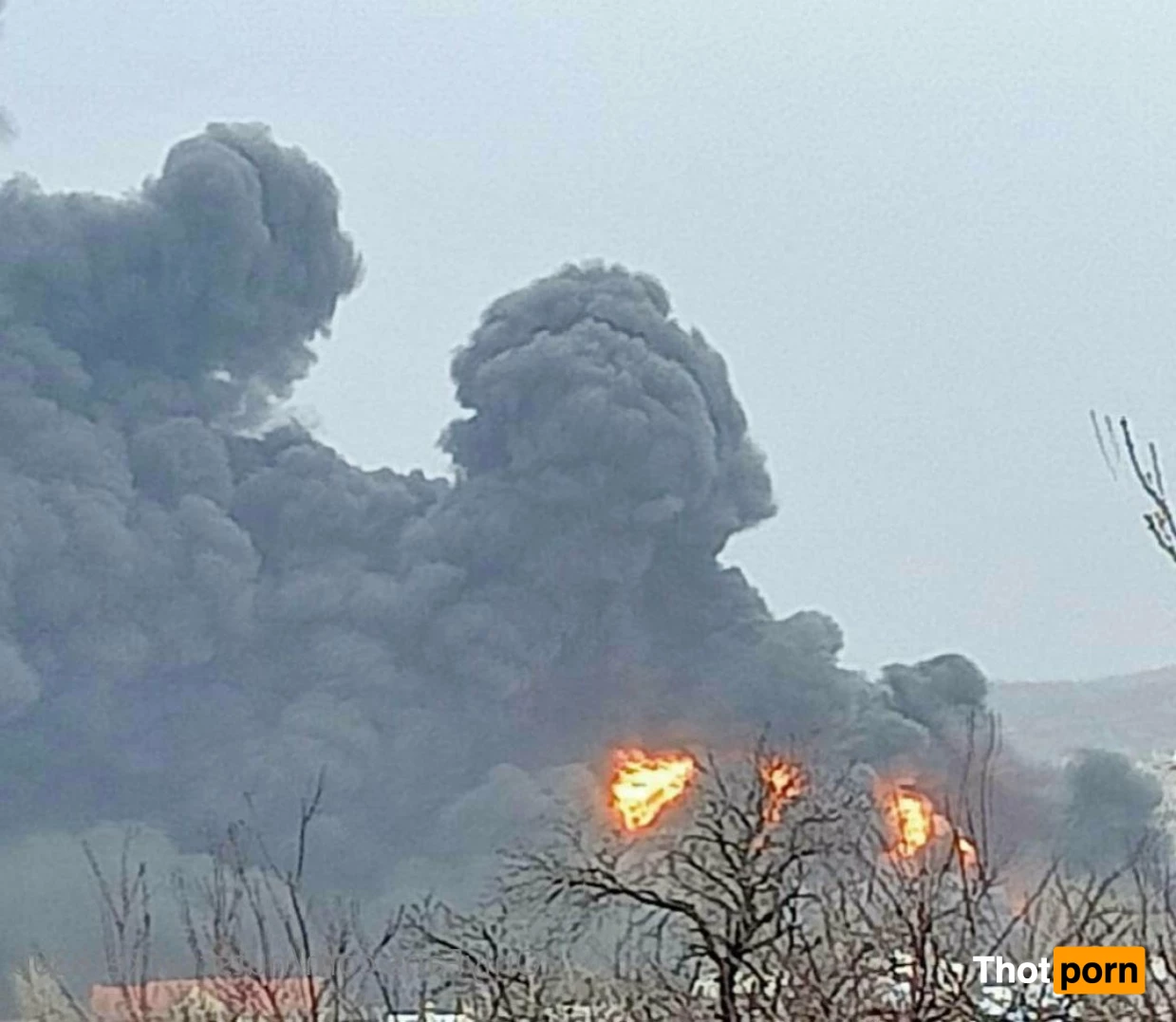 NutsCracker8306 3023544