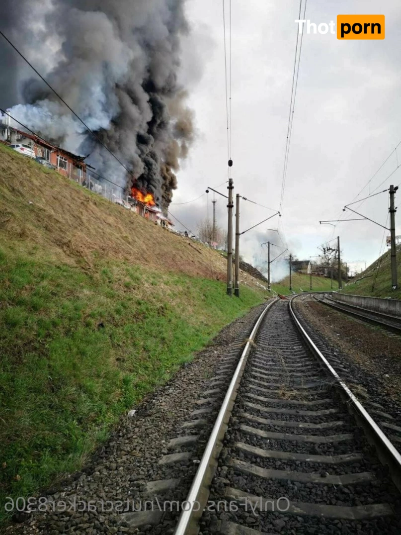 NutsCracker8306 3023588