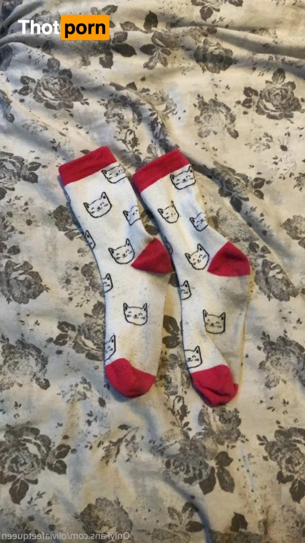 Olivia / Kitty Picanté 2854972