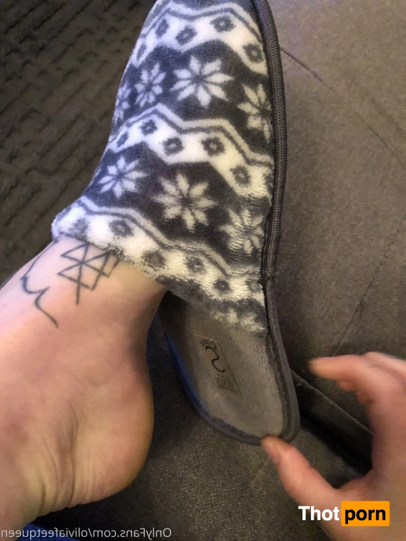 Olivia / Kitty Picanté 2854980