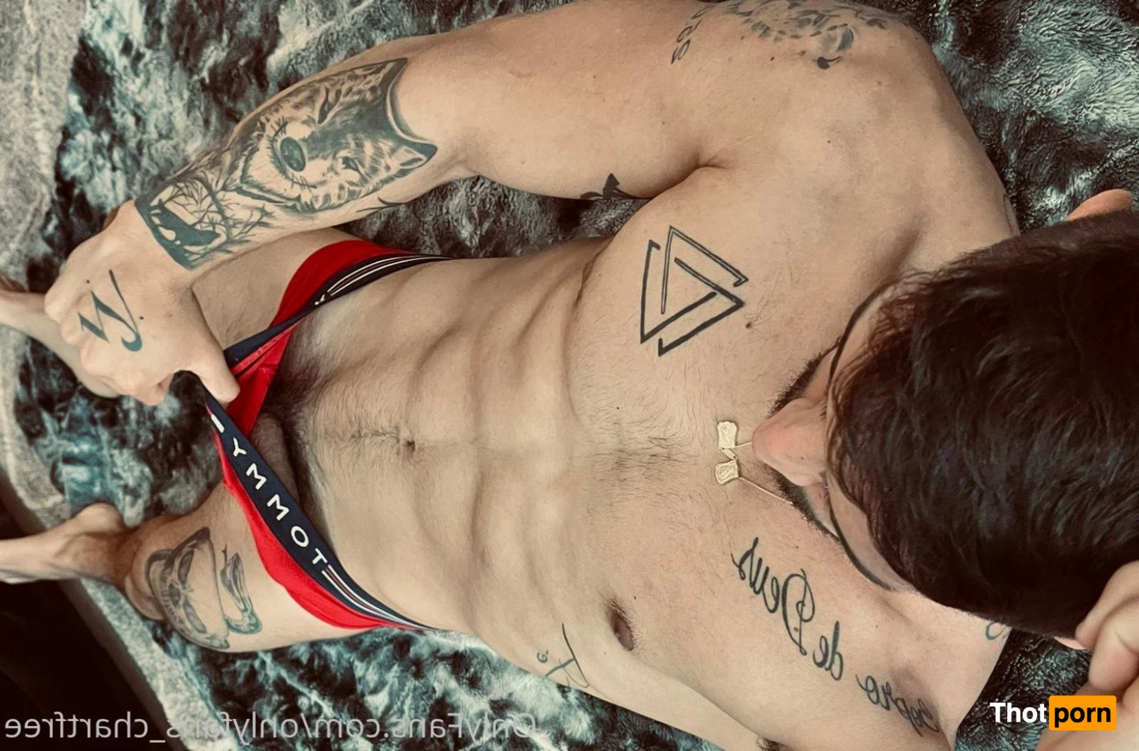 onlyfans_chartfree 2822621