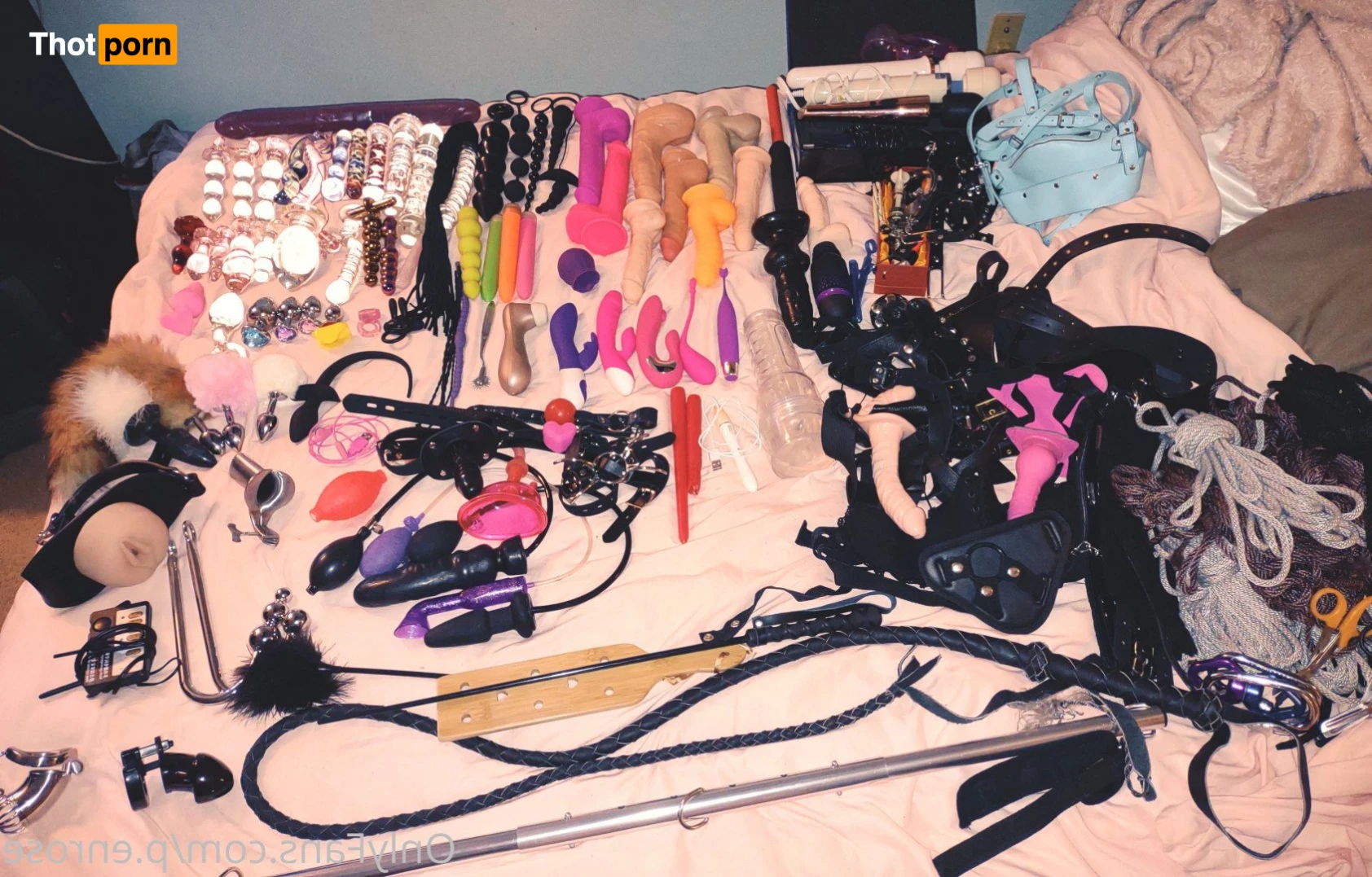 Miss Penrose 2898568