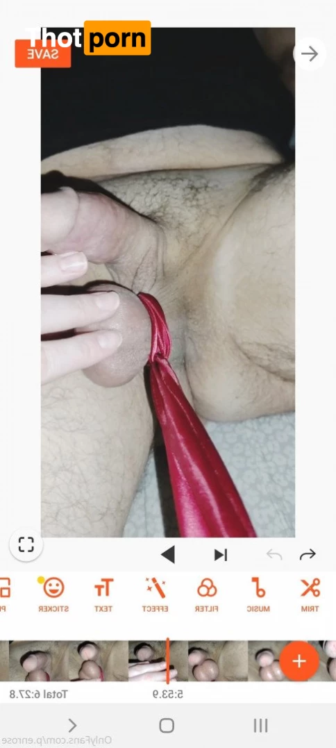 Miss Penrose 2898658