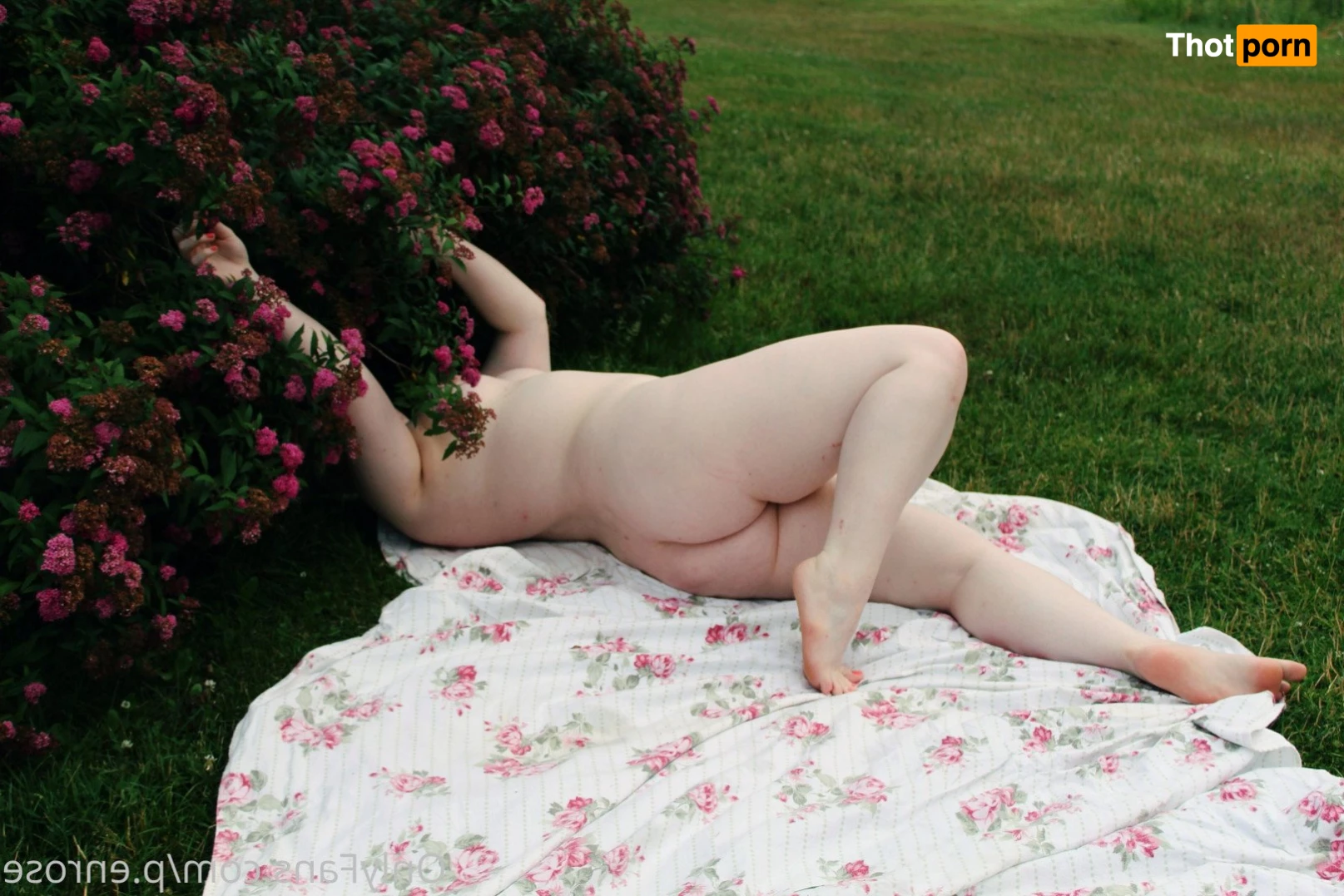 Miss Penrose 2898677