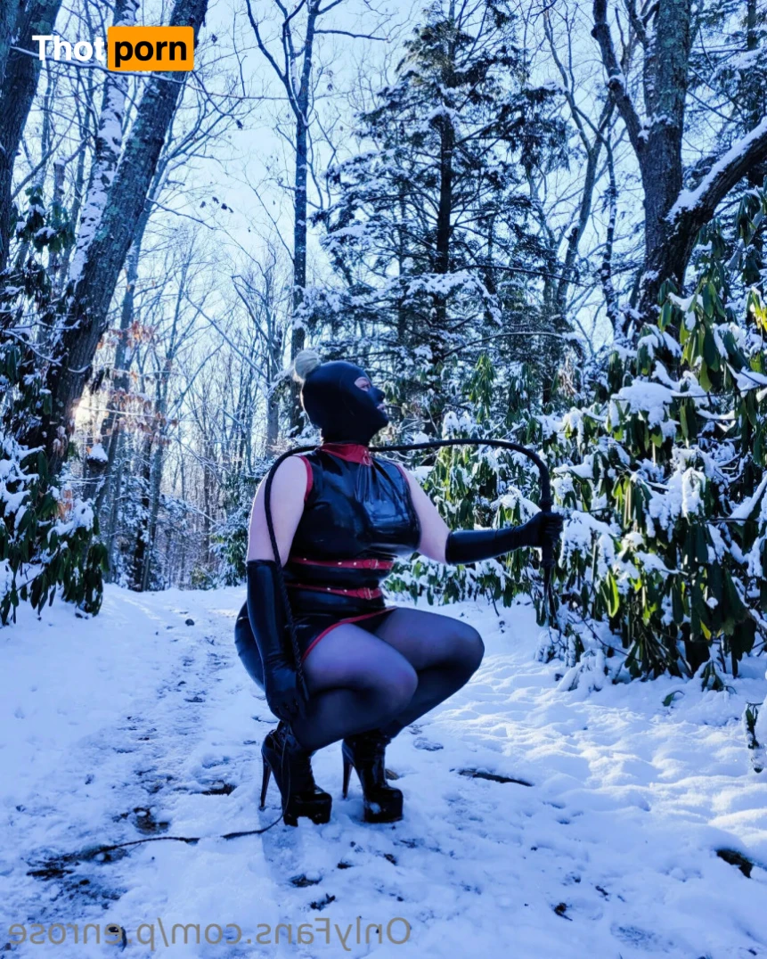 Miss Penrose 13558587