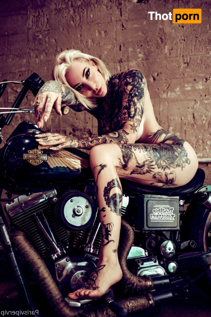 Paris Viper 13545264