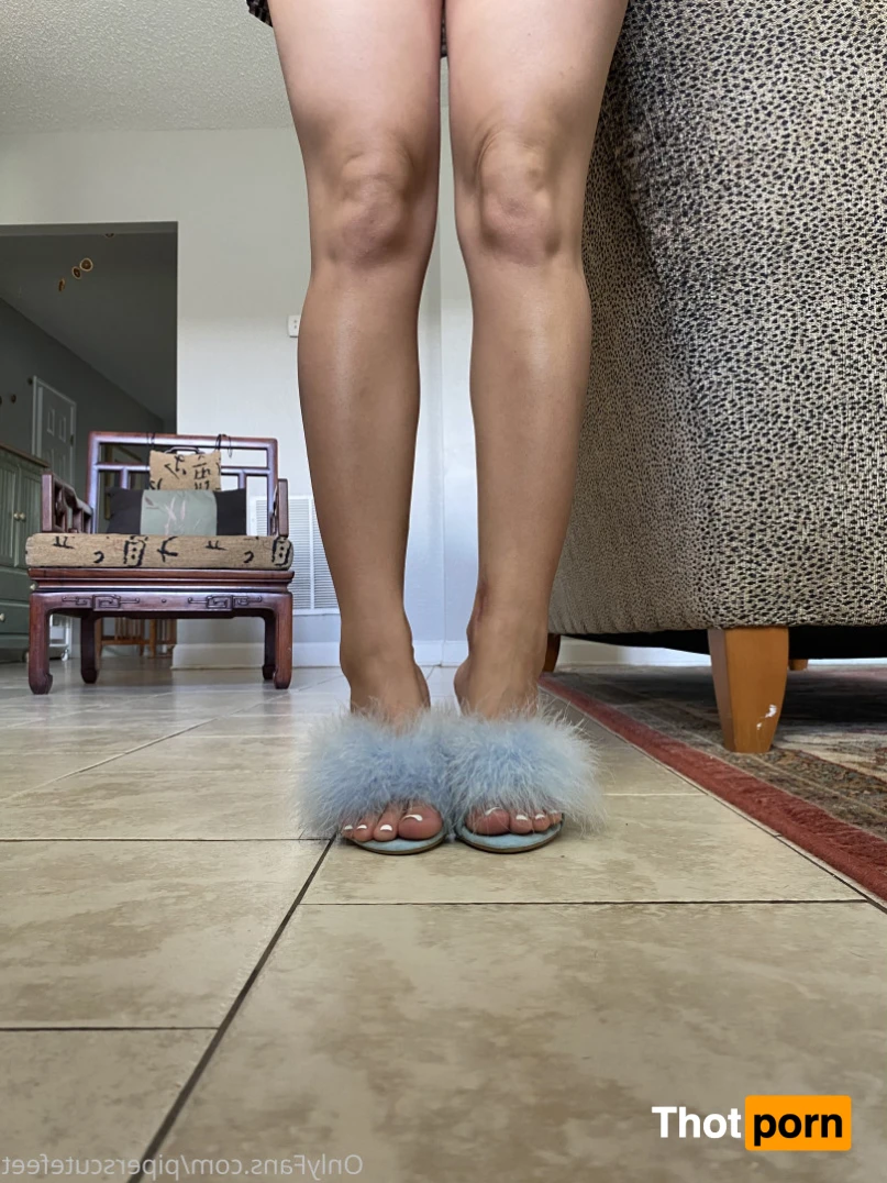 P I P E R     F O X 13471890