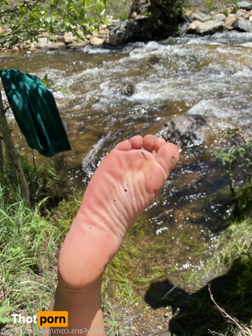 P I P E R     F O X 13472326