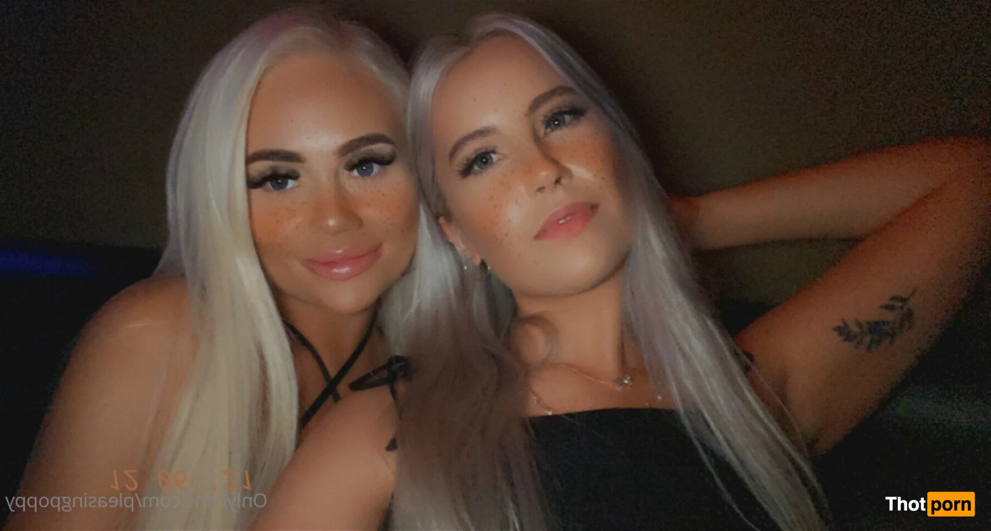 Pleasing.Poppy 2795589