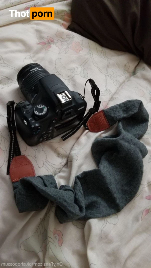 Plush Opossum 2968914