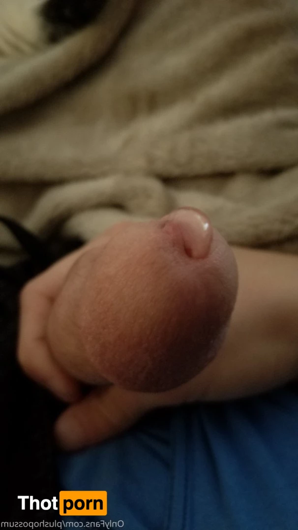 Plush Opossum 2968923