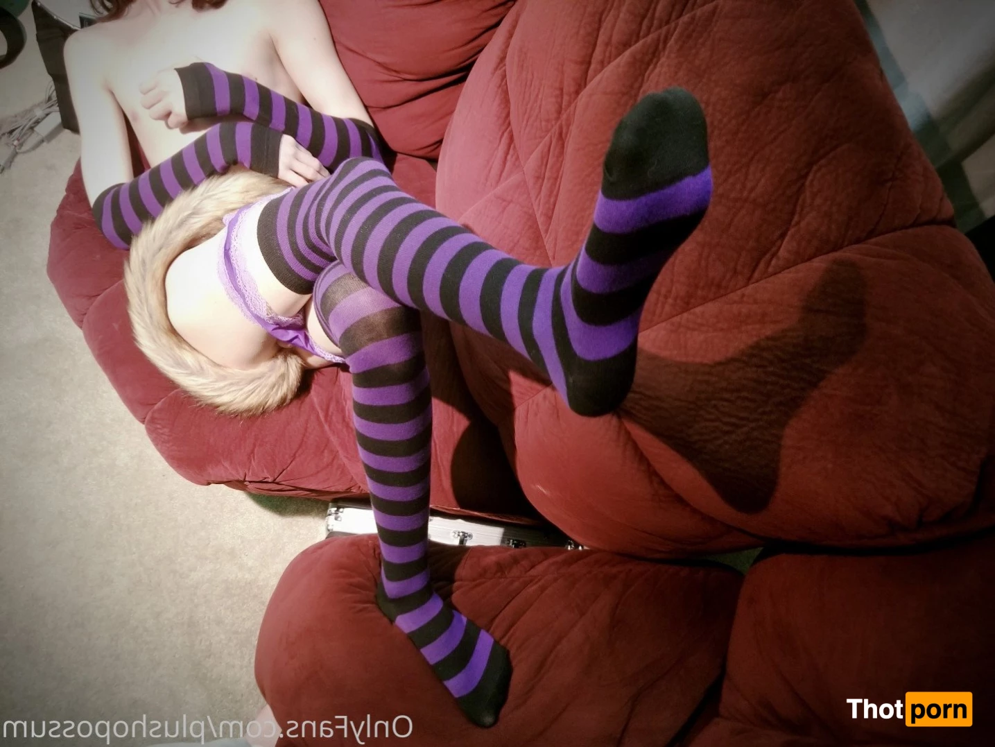 Plush Opossum 2968976