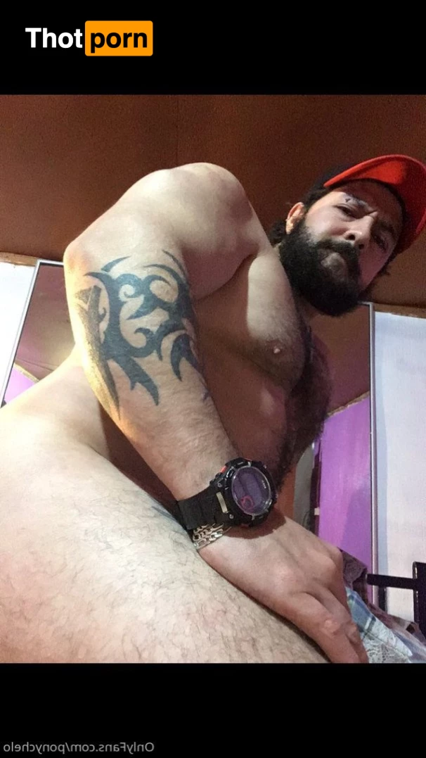 MUSCLE Mannn 2882058