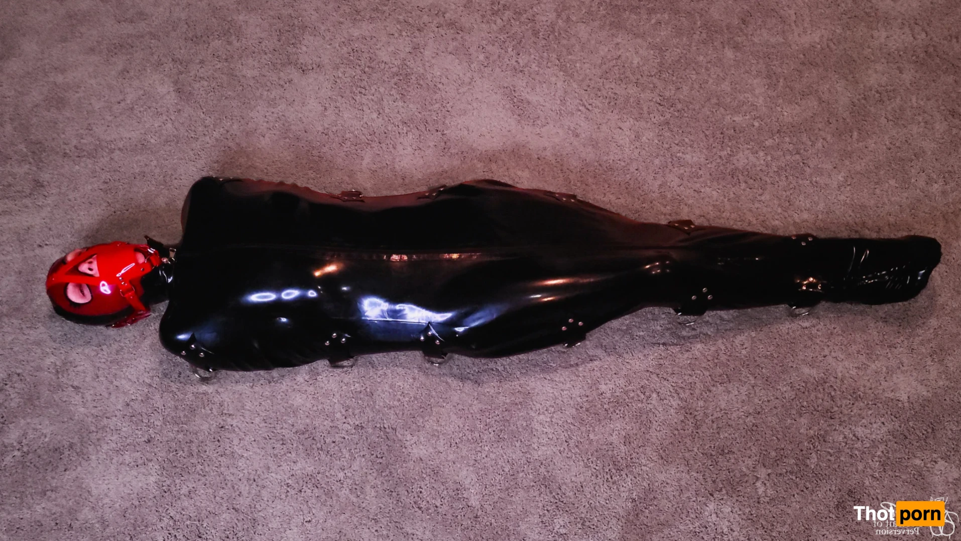 Miss Perversion 13420452