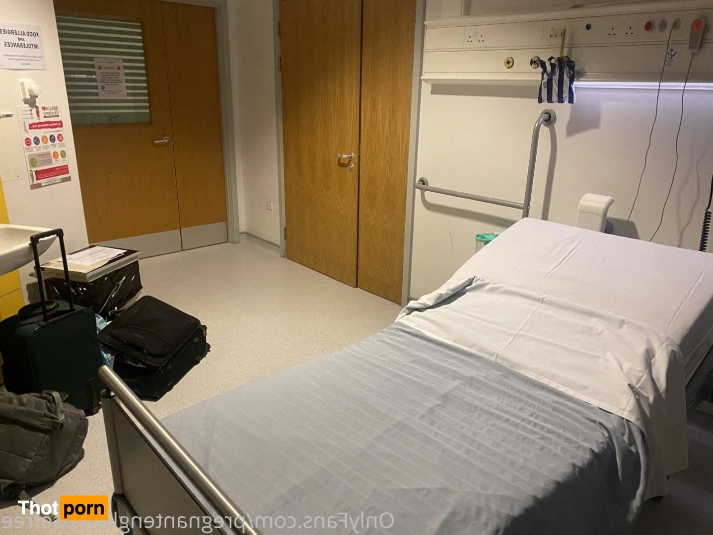 Pregnant English Rose 2772473