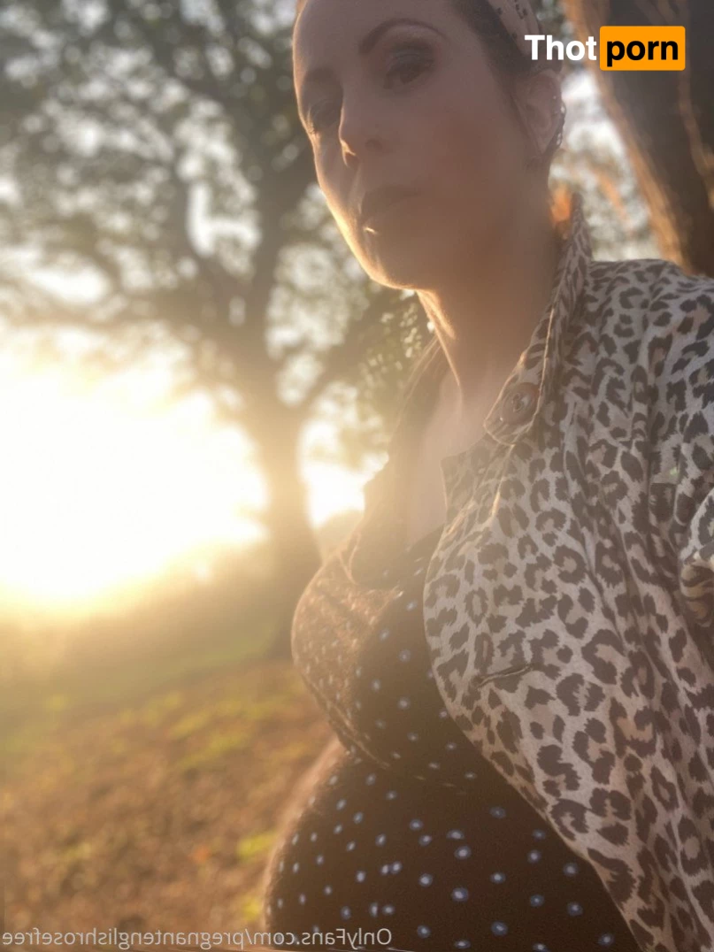 Pregnant English Rose 2772812