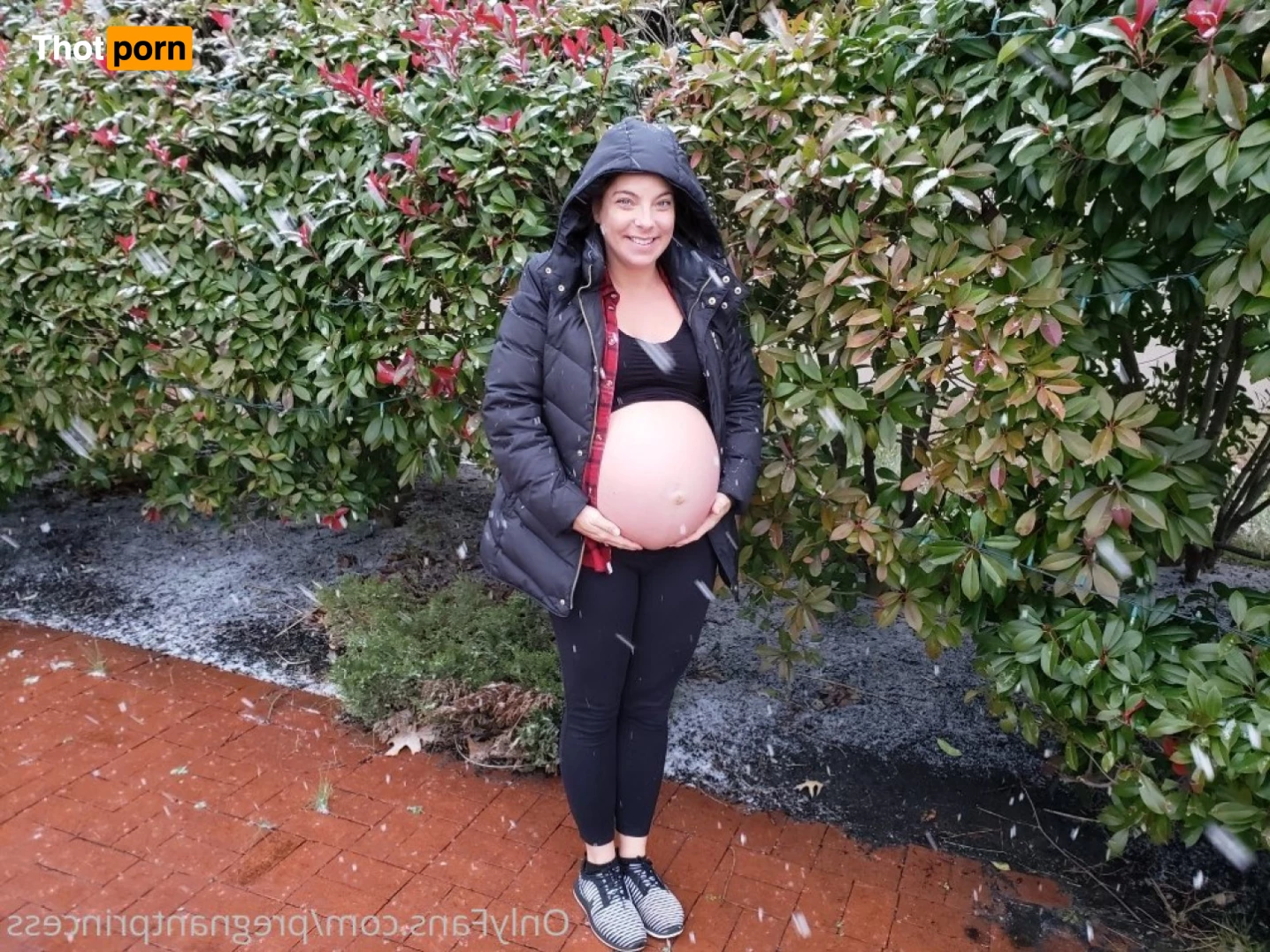 Pregnant Princess 5761121