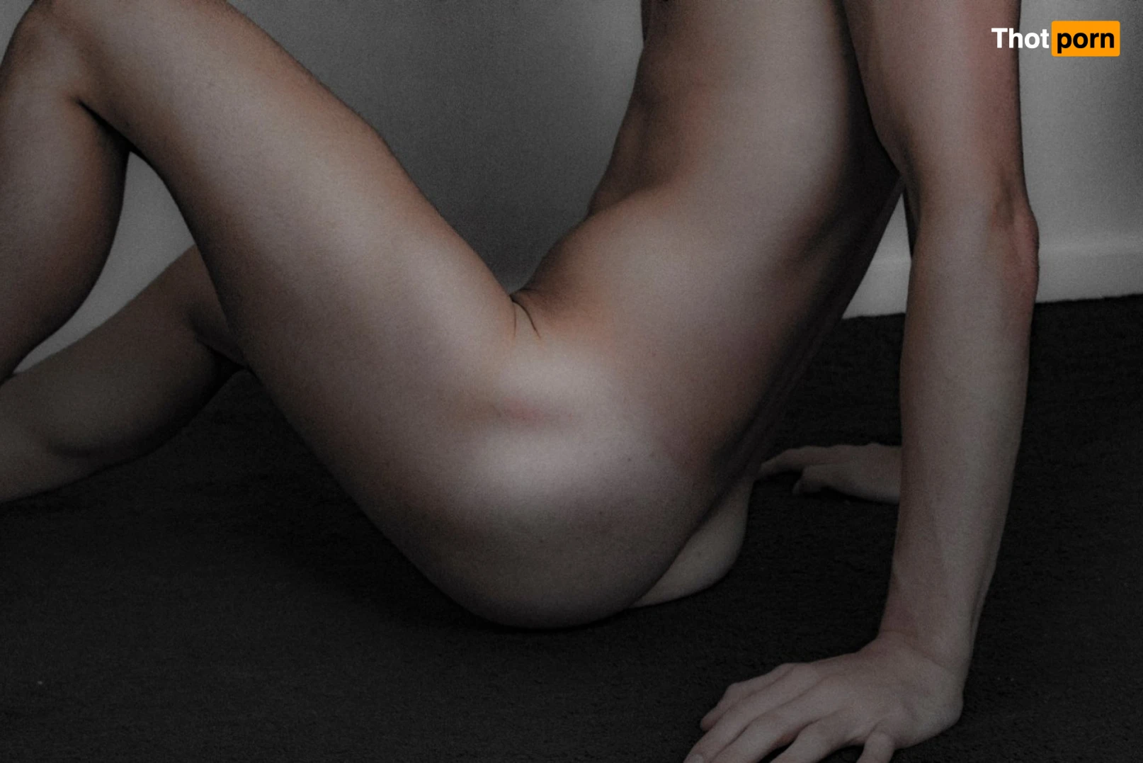 📷 PremiumClassic 📷 13411134