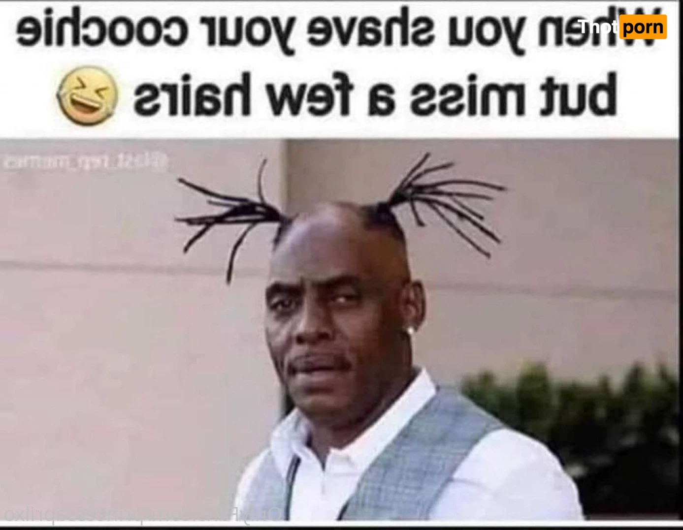 princessaprilxo 2792719