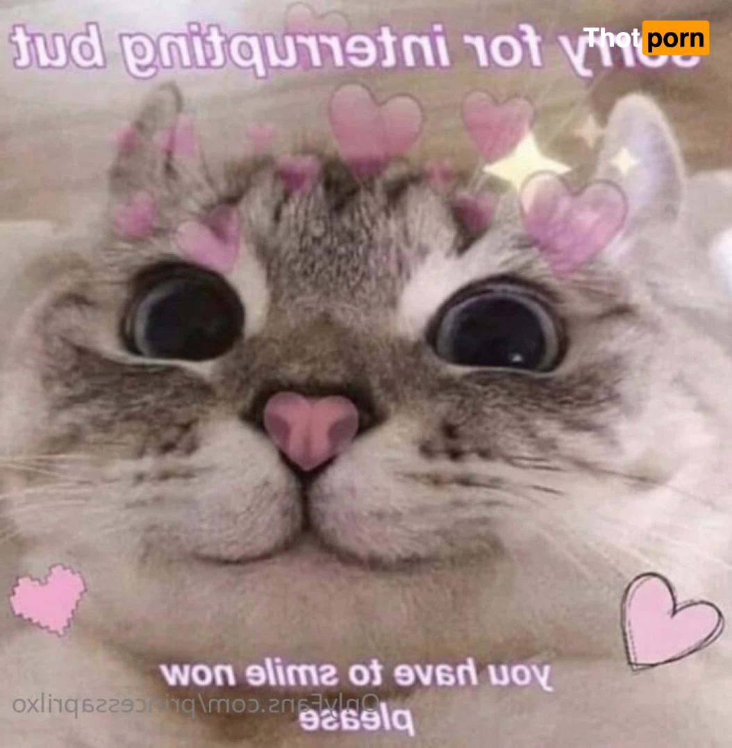 princessaprilxo 5982407