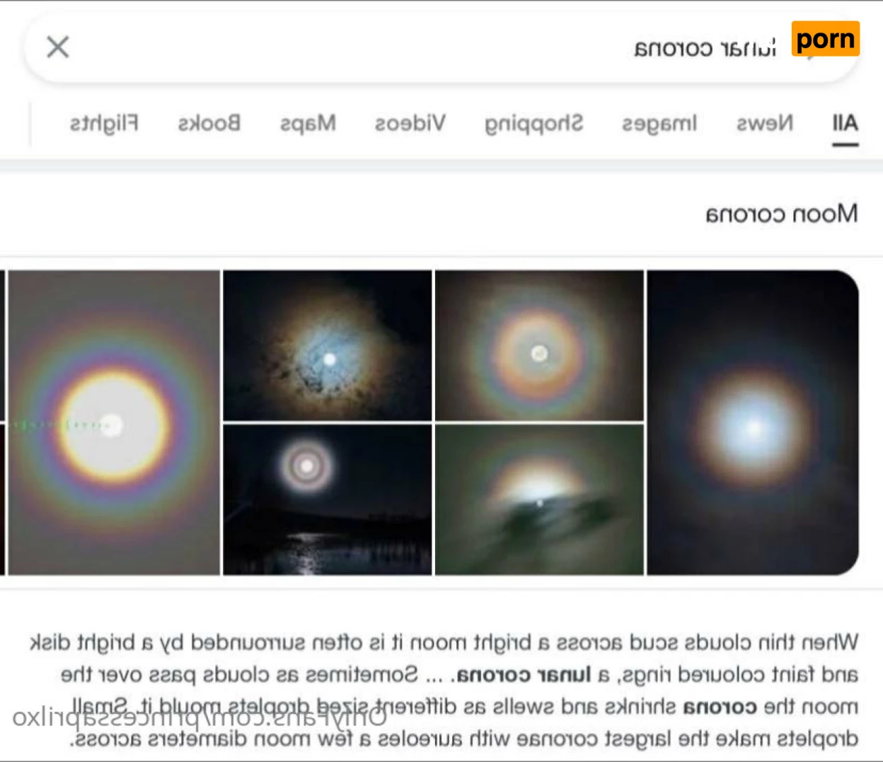 princessaprilxo 5982448