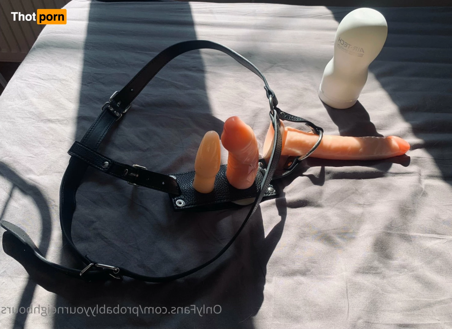 Probably Your Neighbours 2766268