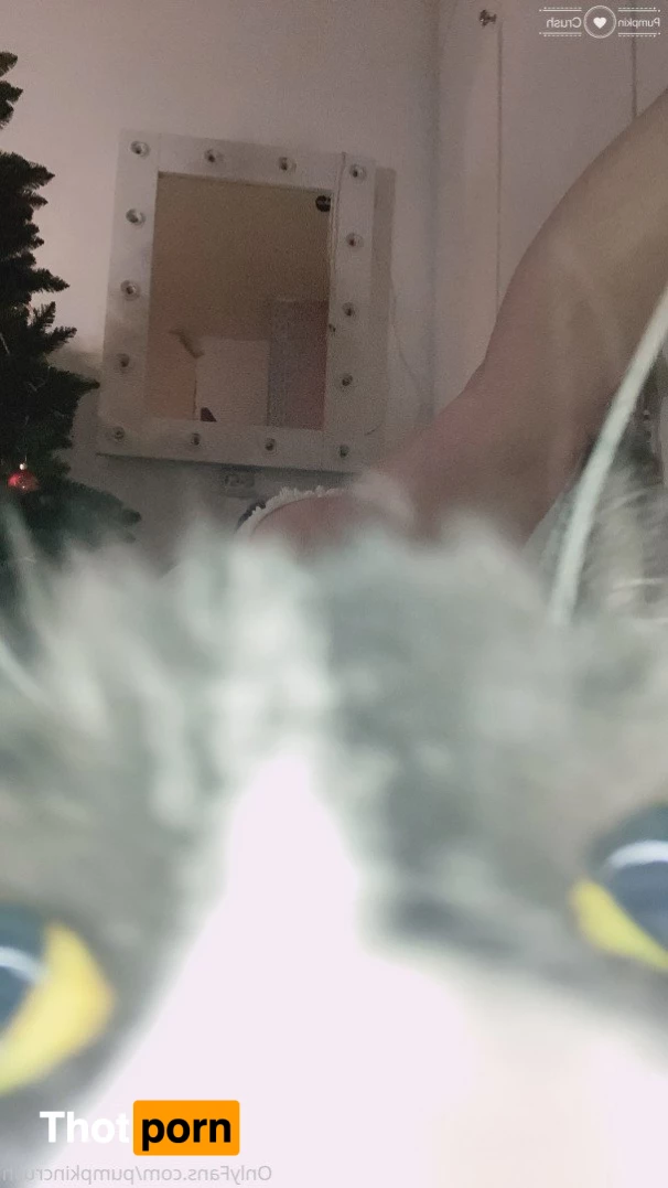 pumpkincrush 2916138