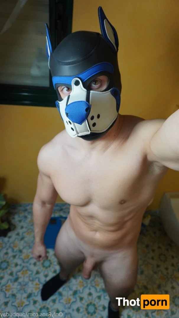 PupBuday 5814704