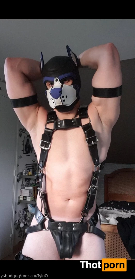 PupBuday 5814882