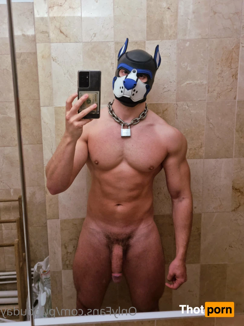 PupBuday 5814954