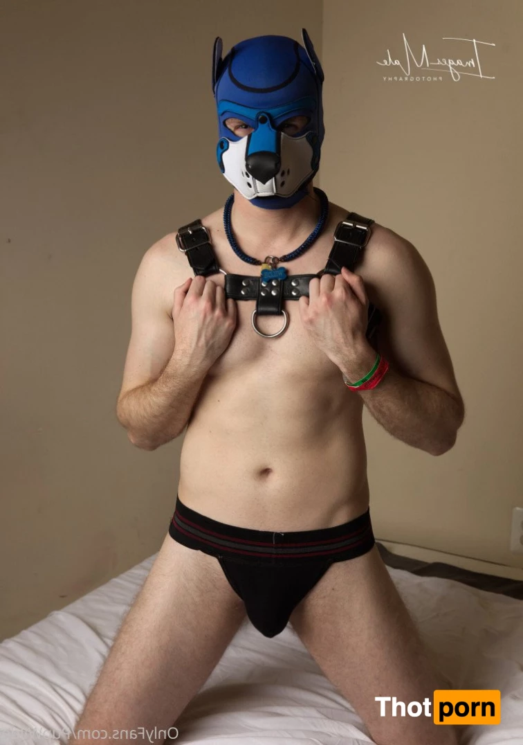 Pup Wilde 2949930