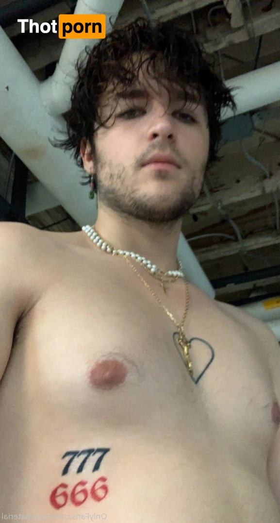 purematerial 2843184