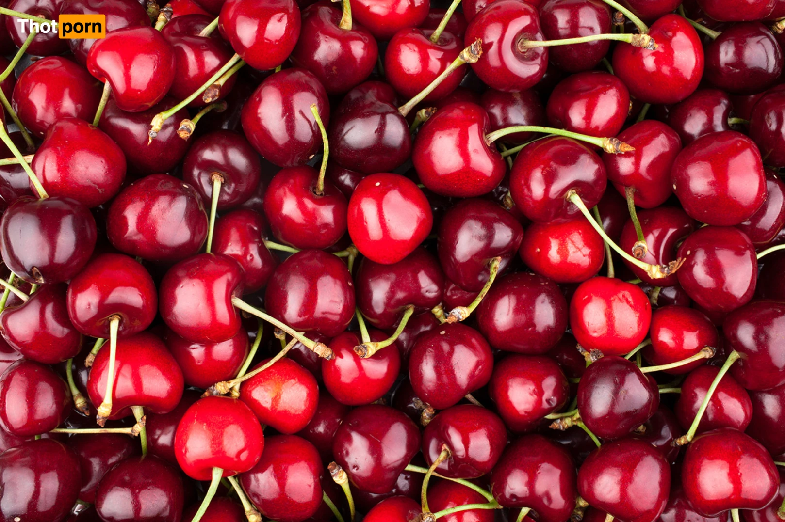 Queen Nephilim 13091082